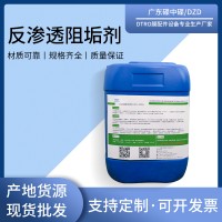 反渗透阻垢剂 DZD 300A清洗剂工业ro膜清洗剂