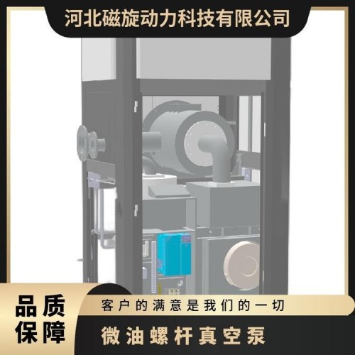 磁旋微油螺杆真空泵CXLM22-96额定功率22KW图2