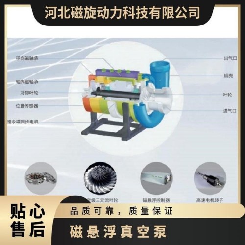 磁悬浮真空泵CXK300功率300KW流量314m³/min图2